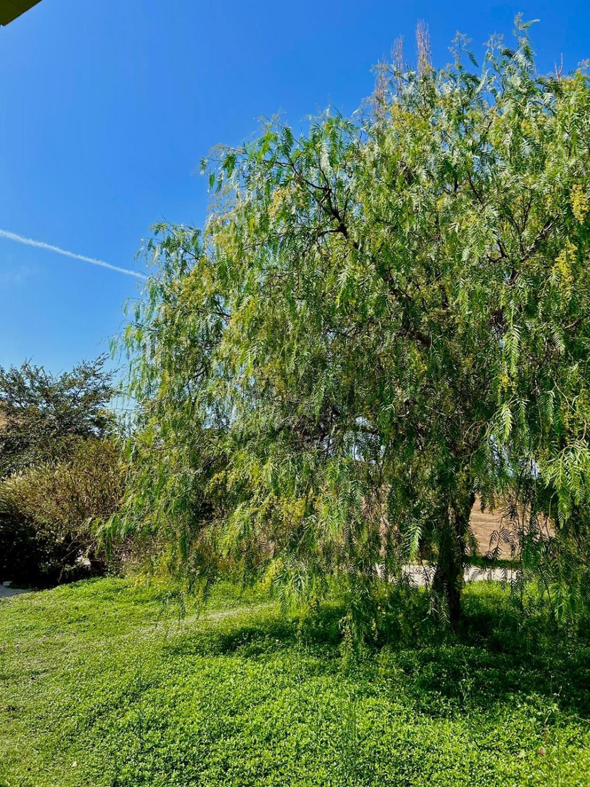 Agriturismo Podere Farnesiana Tarquinia Exteriér fotografie