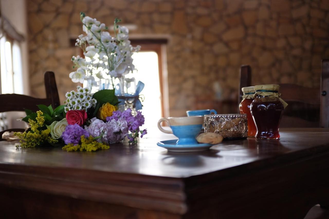 Agriturismo Podere Farnesiana Tarquinia Exteriér fotografie